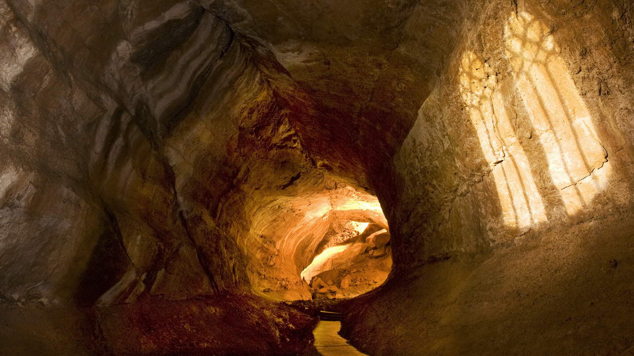 Palaeotraun - Mammuthöhle Semester i Österrike