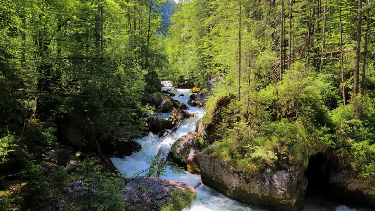 Waldbach i Echerntal - Hallstatt - Dachstein Semester i Österrike