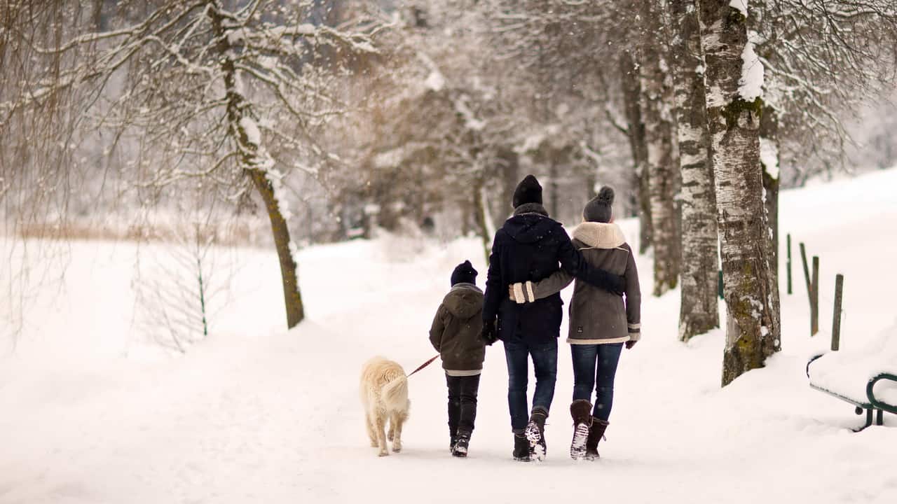 Nordic Park i Saalbach Saalfelden Leogang Semester i Österrike