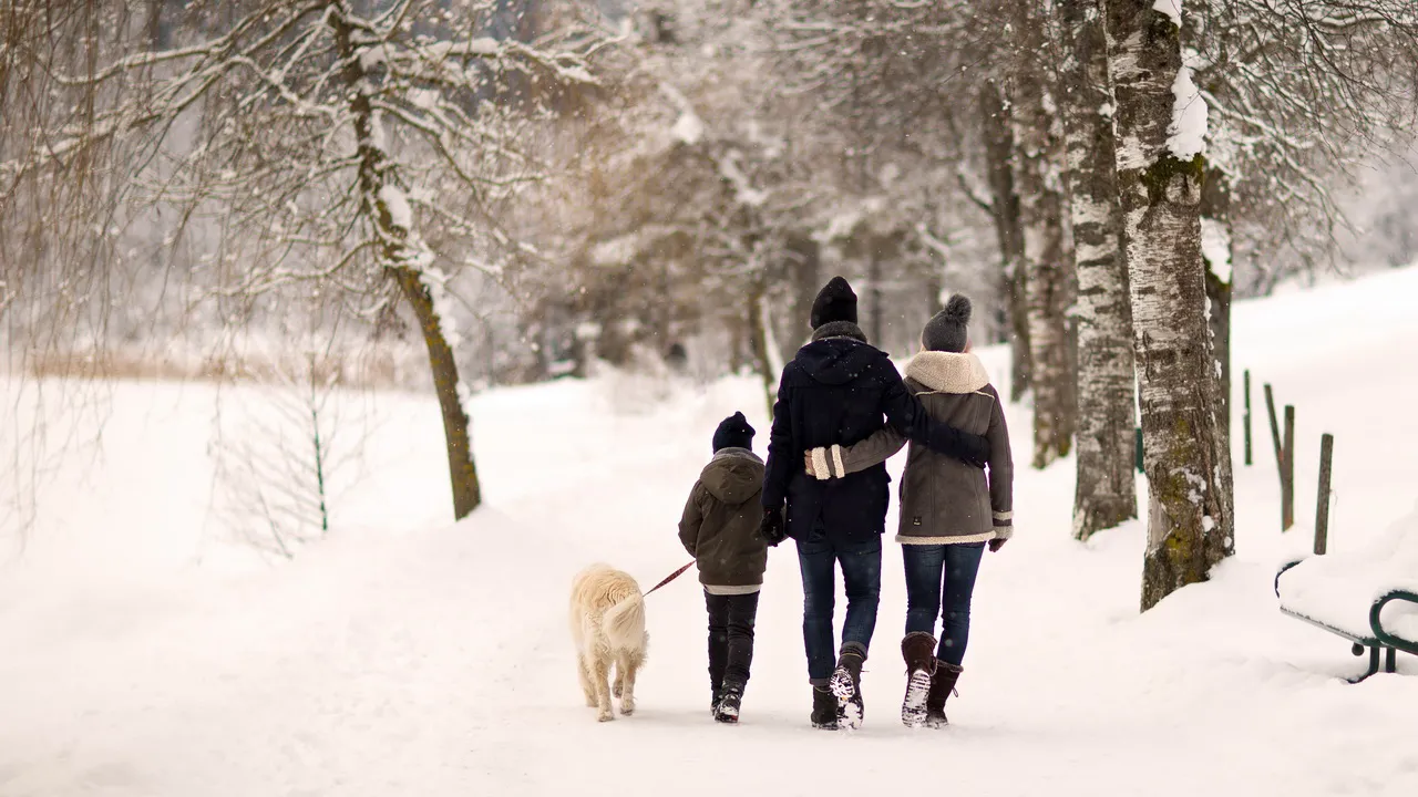 Nordic Park i Saalbach Saalfelden Leogang Semester i Österrike