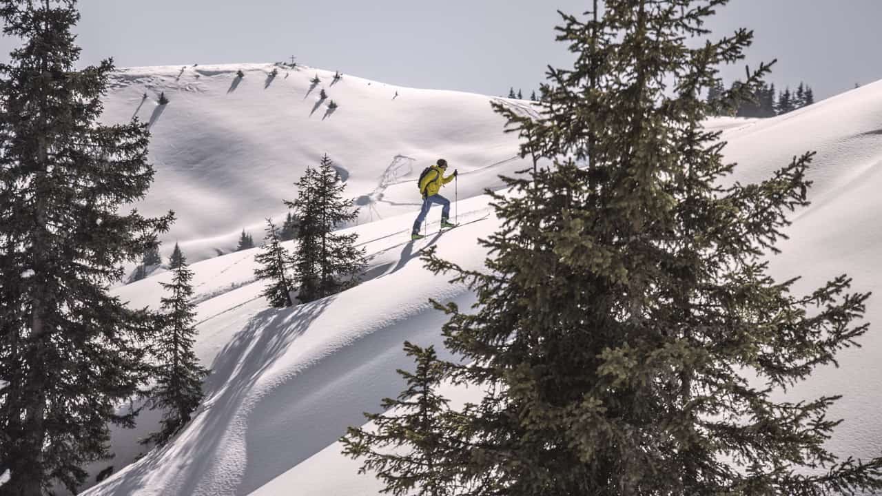 Waldski Skidåkning Saalfelden Leogang vintersemester