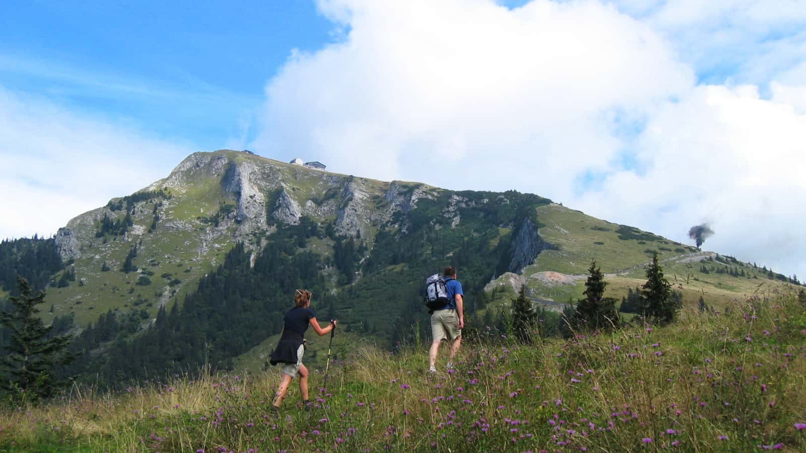 Vandra på Schafberg - semester i Österrike med Austria Travel