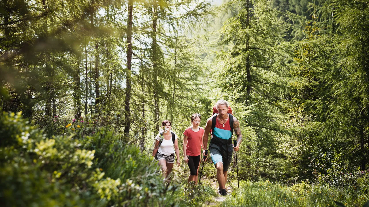Vandra vid Bad Gastein