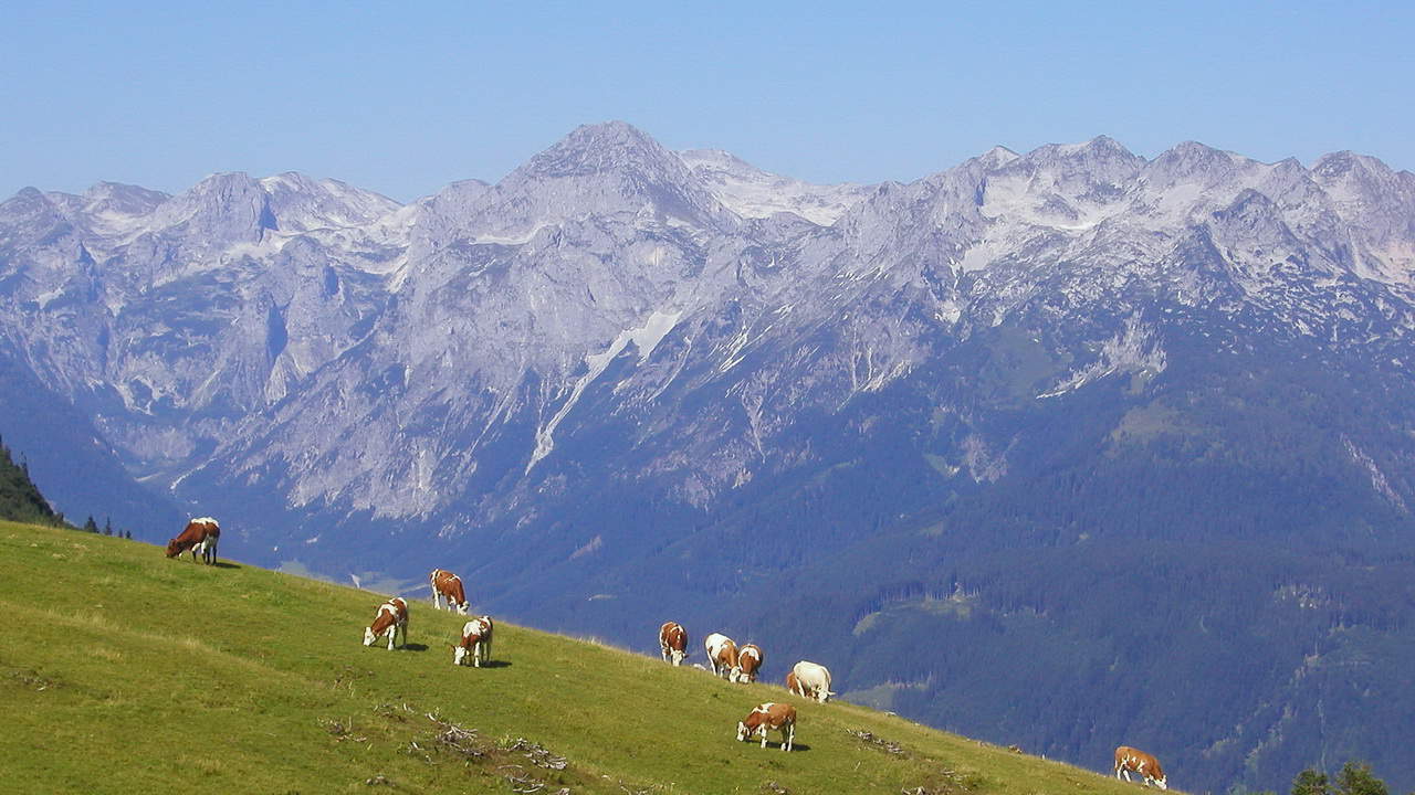 Sound-of-Music-vandring Dachstein © Austria Travel - Rusner