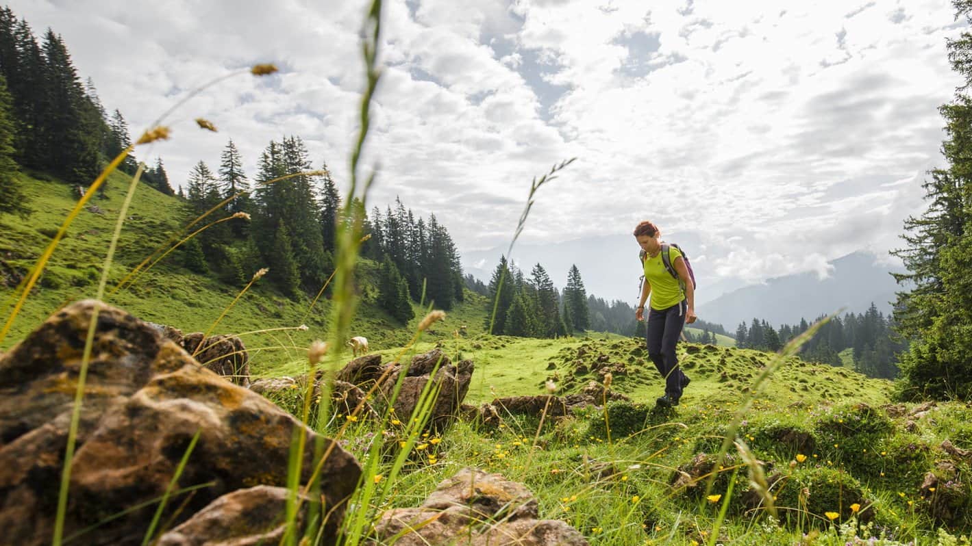 Spielbergalm Saalfelden vandrare Zell am See
