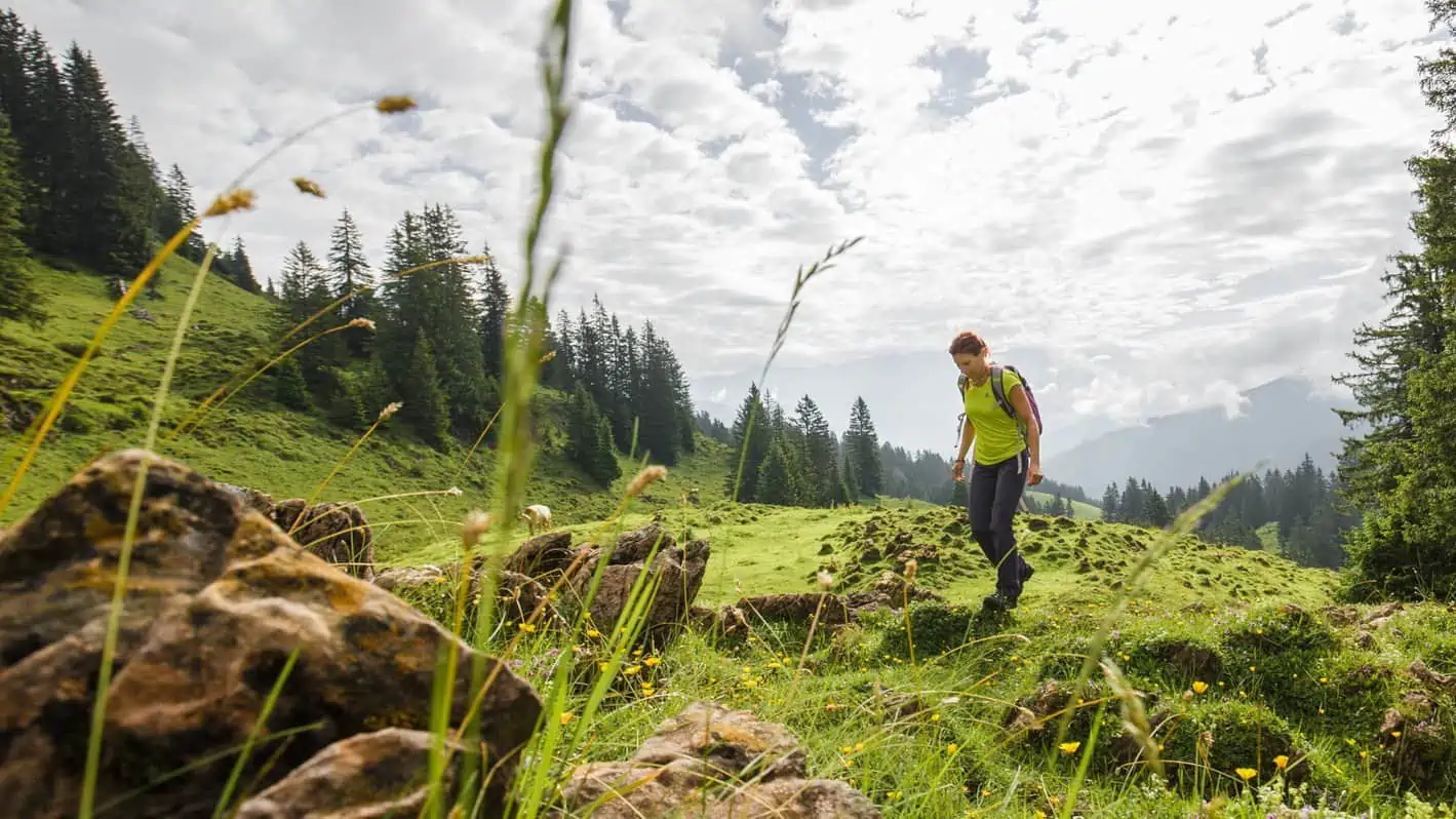 Spielbergalm Saalfelden vandrare Zell am See