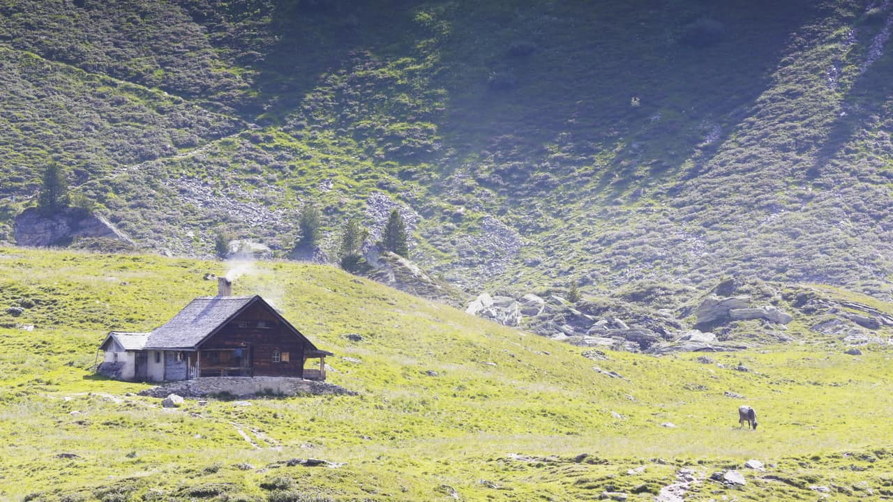 Alpstuga i Zillertal Semester i Österrike