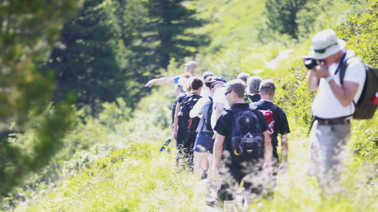 Zillertal grupp vandring