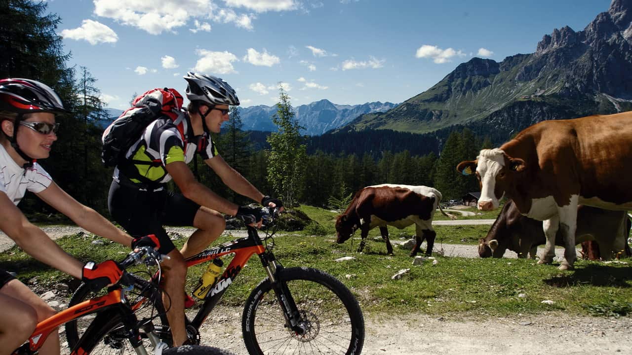 Mountainbike vid Dachstein Österreich Österrike