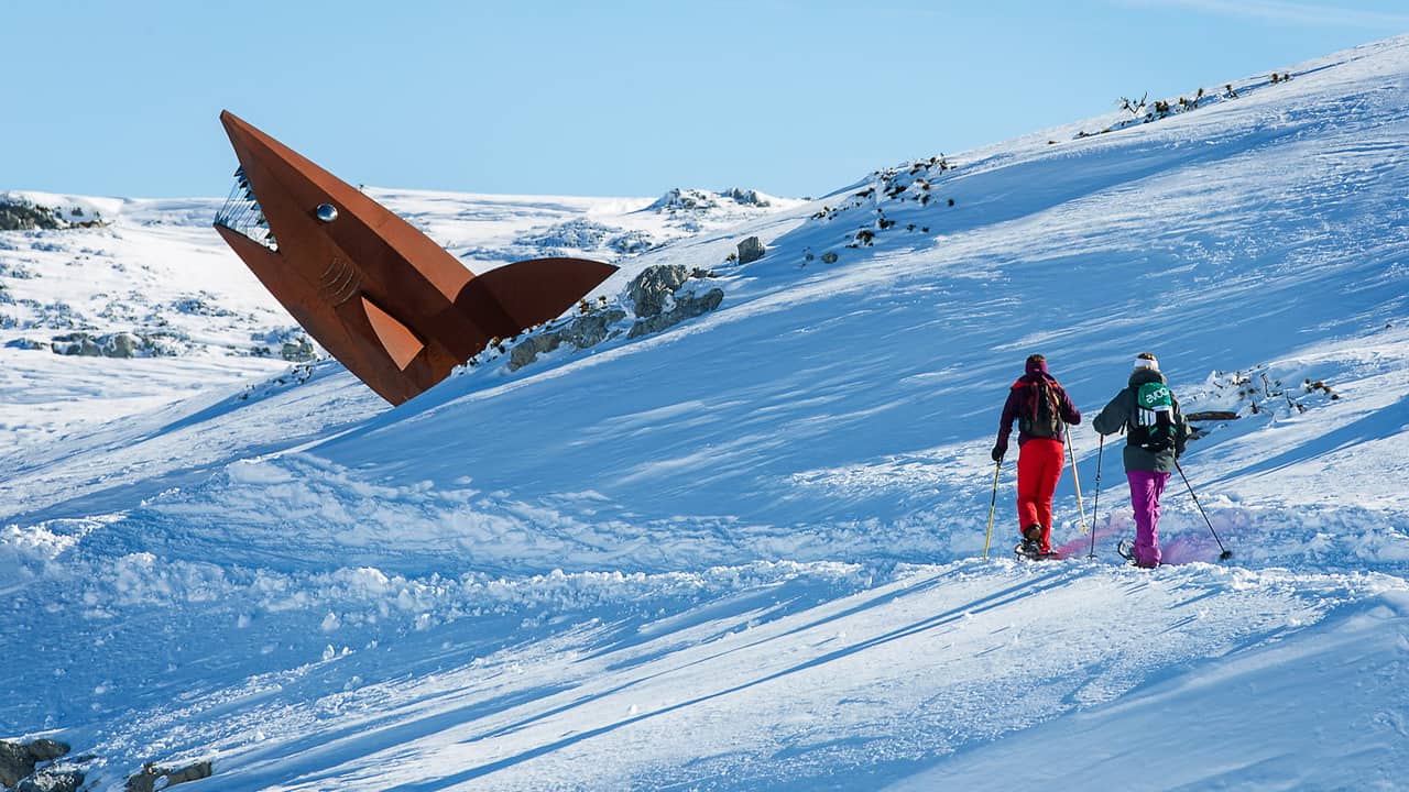 Vintersemester i Salzkammergut - Dachstein haj - snöskovandring Krippenstein - Dachstein Österrike