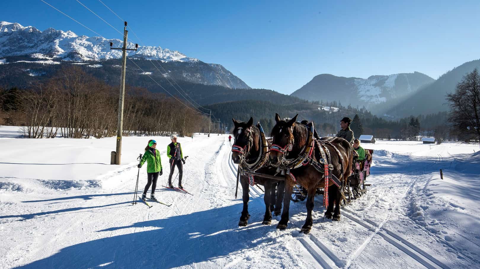 Möte med släde i Salzkammergut © Steiermark Tourismus - ikarus.cc