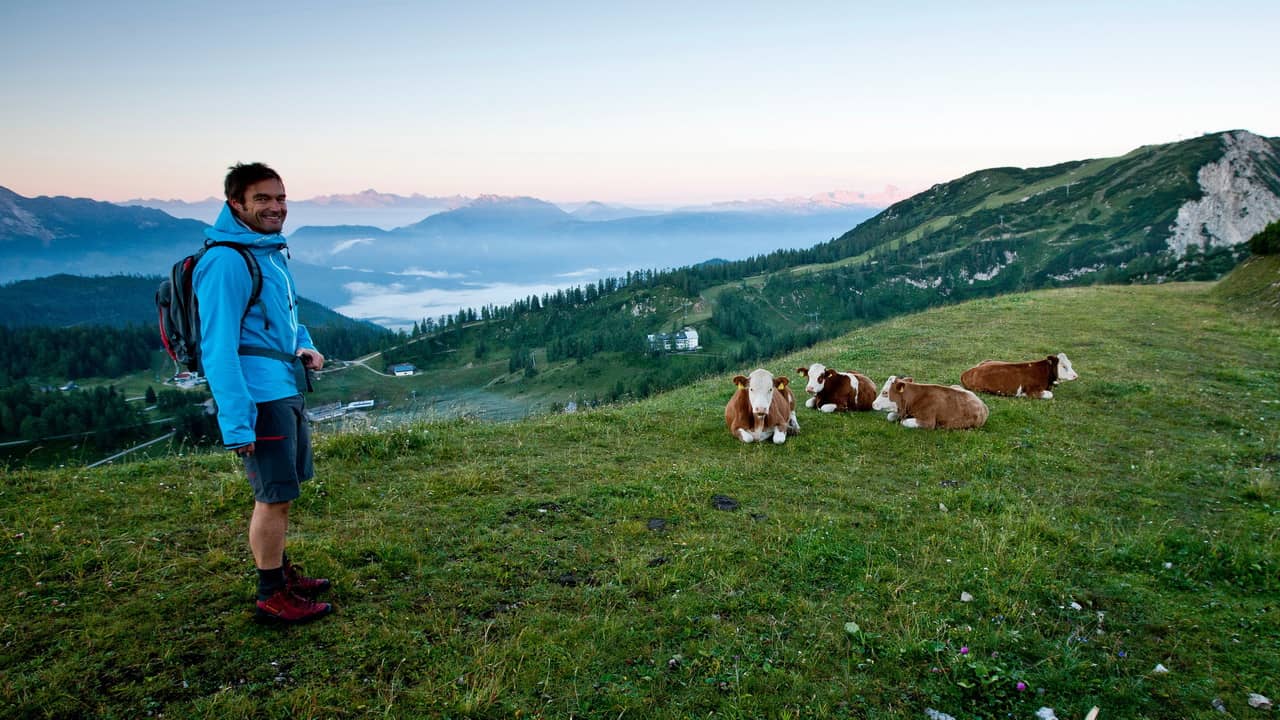Vandrare med kor i Ausseerland © Tom Lamm