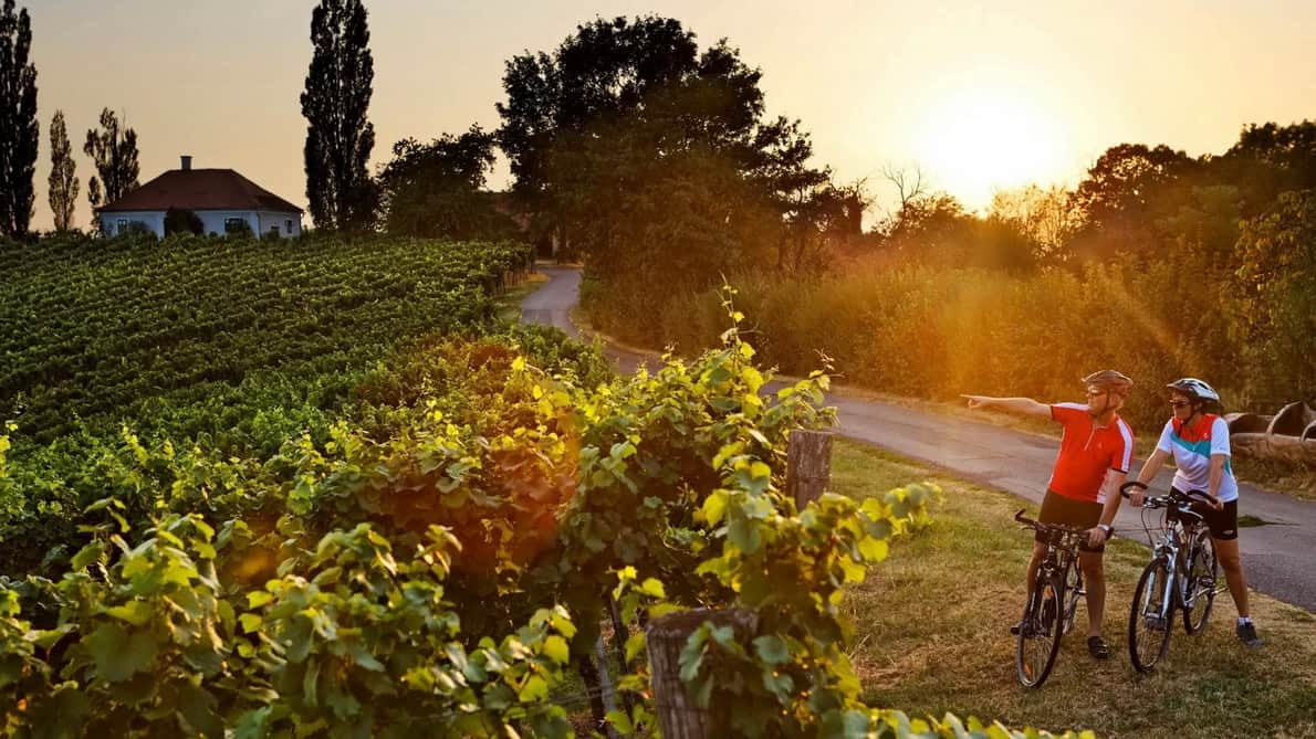 Cykla i Österrikes Toscana, vincykling i södra Steiermark
