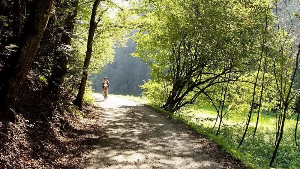 Cykla i Österrikes Toscana, vincykling i södra Steiermark