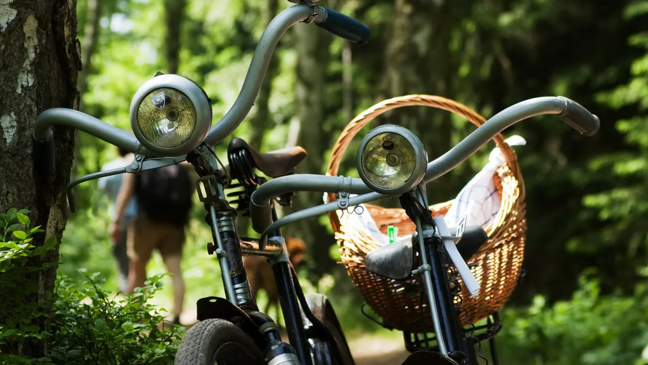 Vincykling i Steiermark, cykling Österrikes Toscana