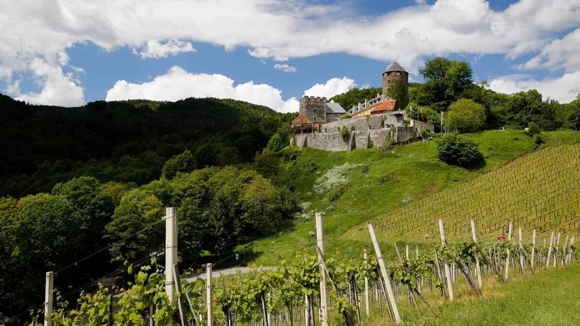 Vincykling Burg Deutschlandsberg Cykla Cykling Toscana vinparadis
