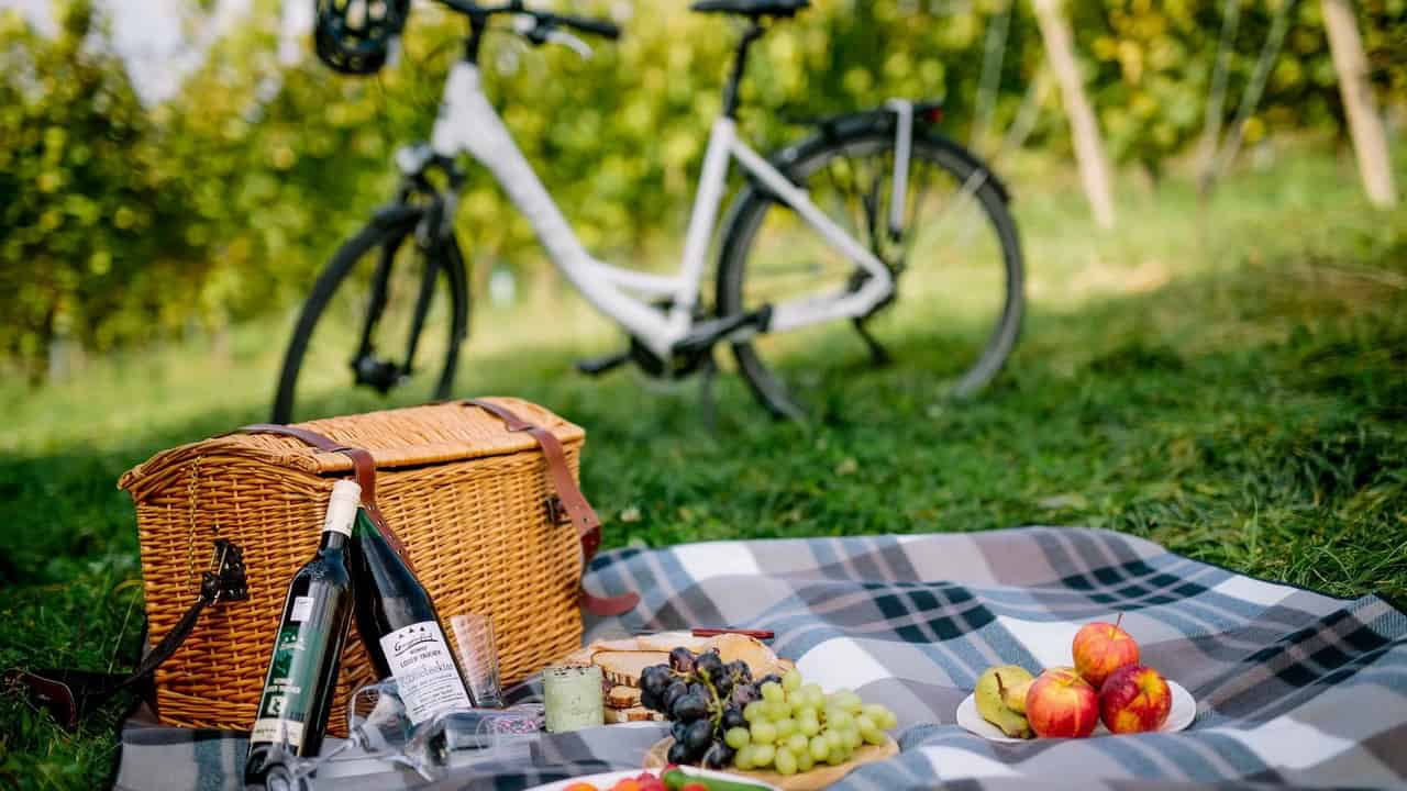 Vincykling Picknick Österrike