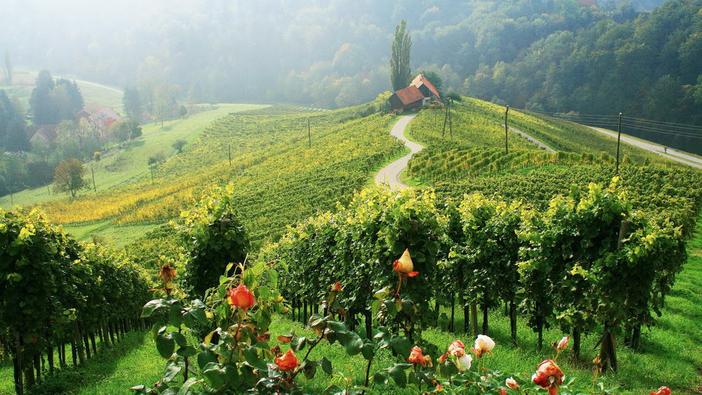 Cykla i fyra länder Österrike