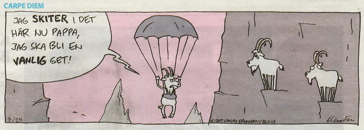 Stenbock - Steinbock - Carpe Diem