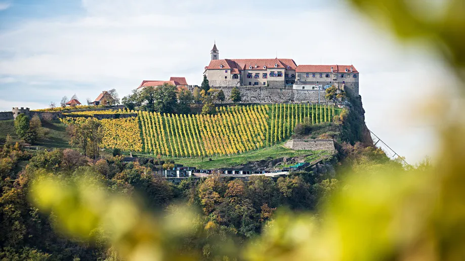Riegersburg - vandring i Steiermarks vulkanregion - Semester i Österrike med Austria Travel