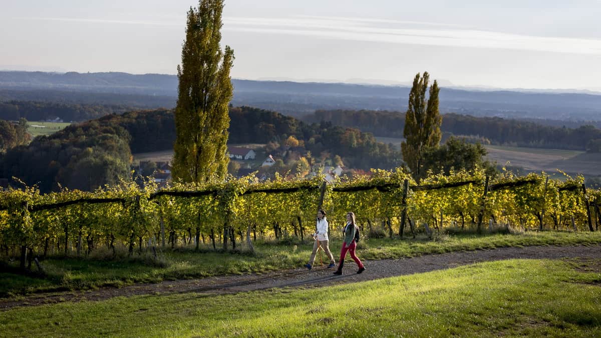 Vandra i vackra Klöch - Südoststeiermark Steiermark