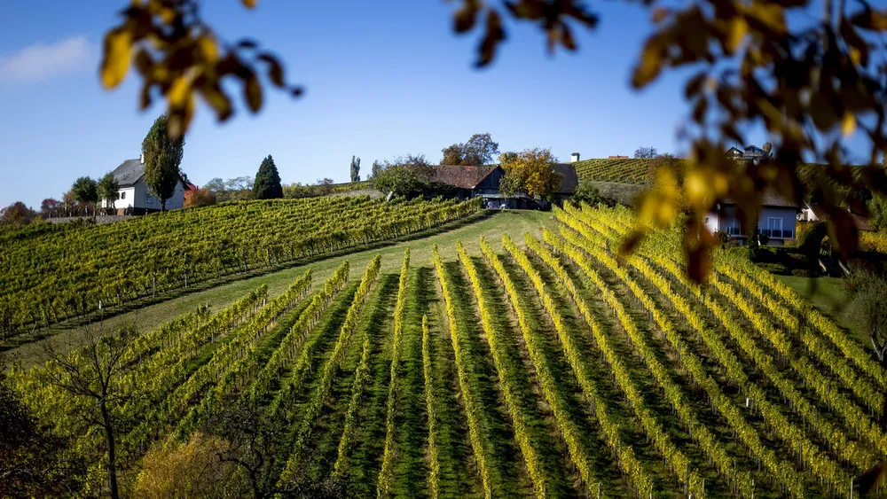 Vinlandskap Klöch cykla vandra