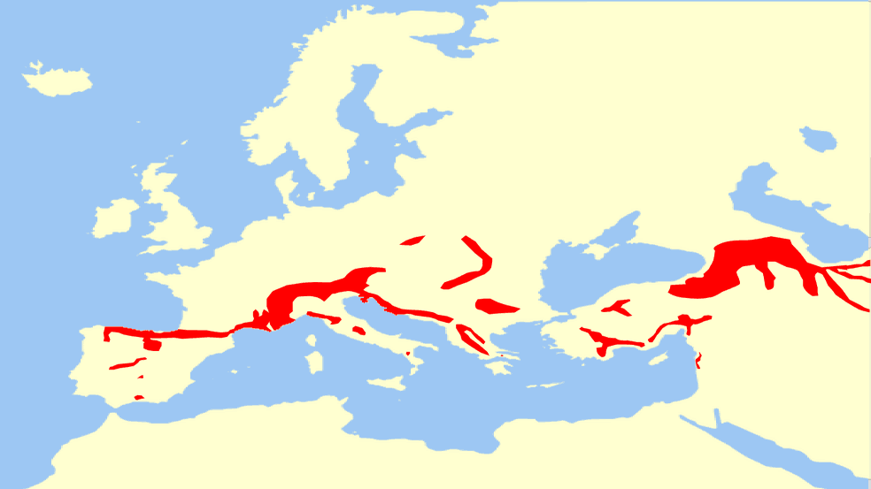 Schneemaus - Chionomys_nivalis-utbredning 16x9 © CC BY-SA 3.0 - Carlos Bartolomé La Huerta