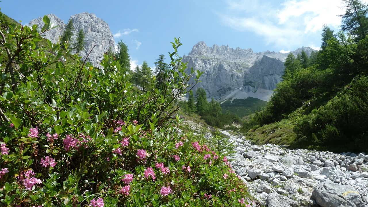 Vandring under Dachstein © Austria Travel - Rusner