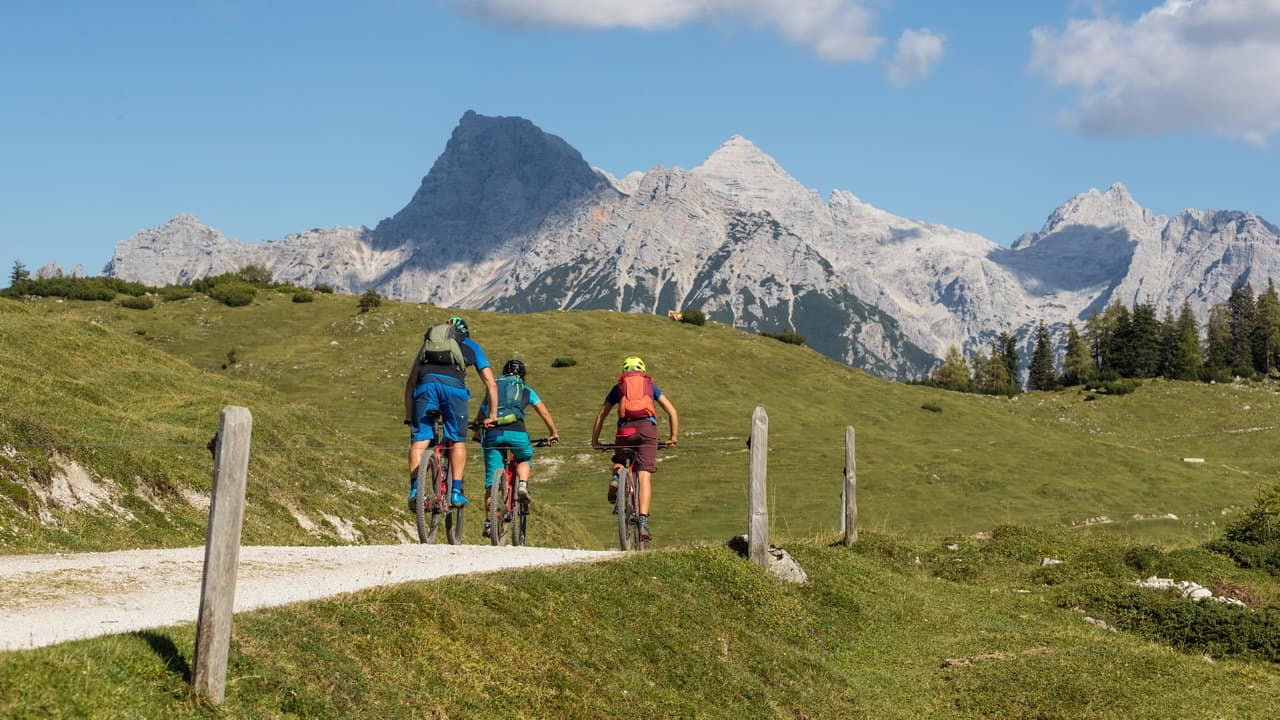 Mountainbike MTB Kat Bike