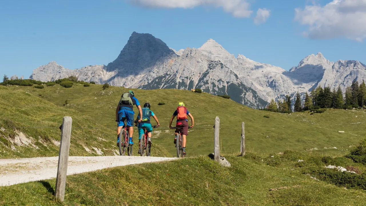 Mountainbike MTB Kat Bike