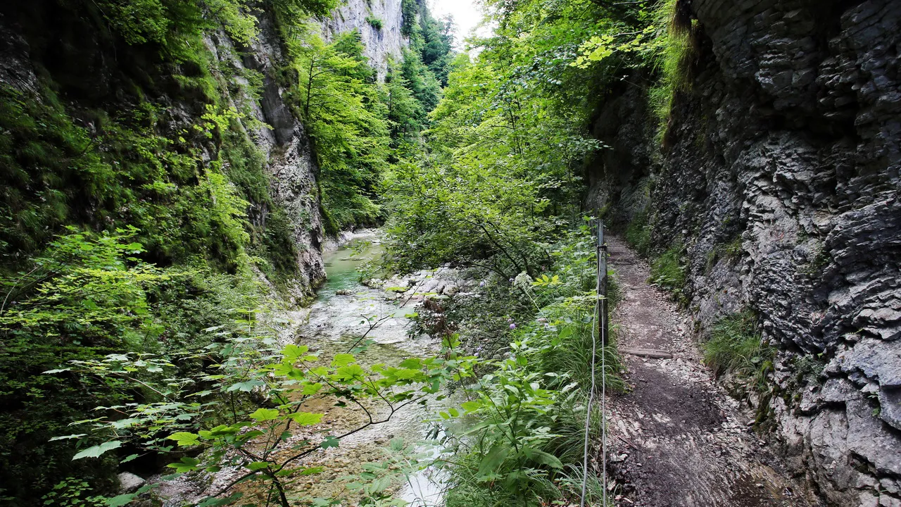 Vandring Österrikes Grand Canyon Ötschergräben