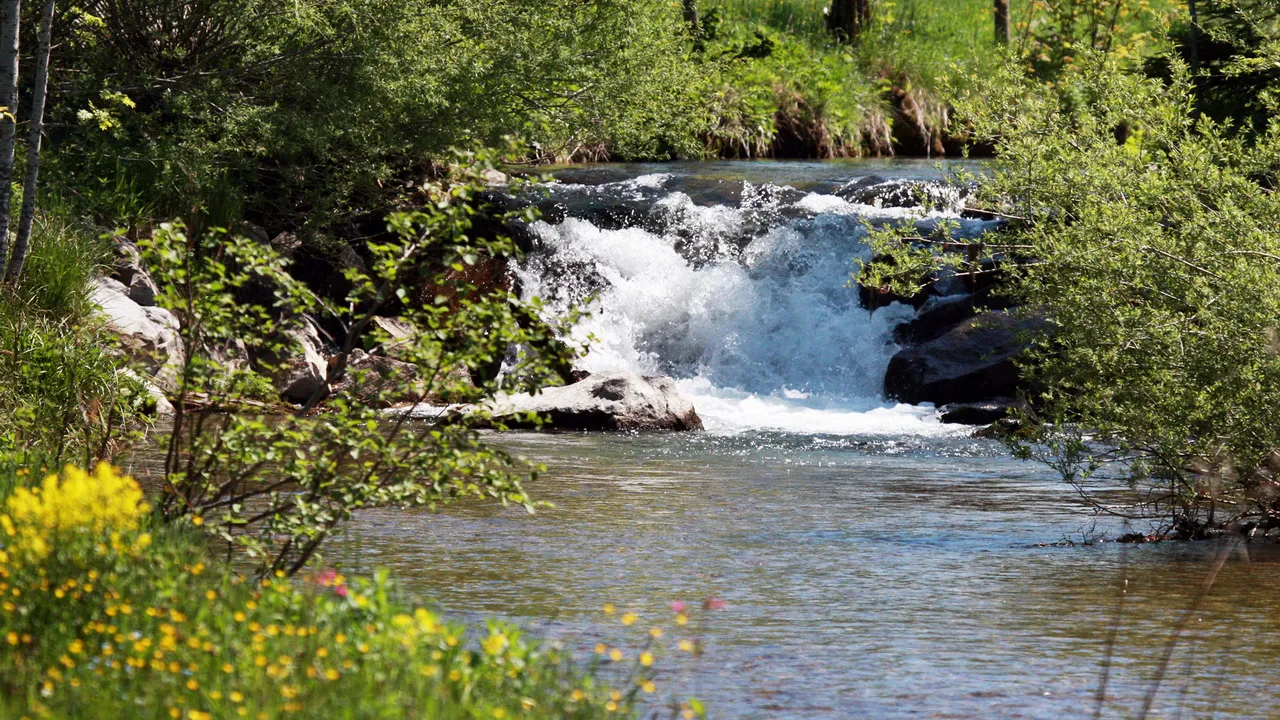 Vatten vandra Ötschergräben Österrikes Grand Canyon