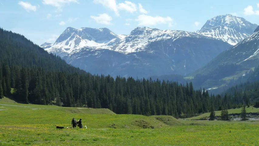 Lechweg berg vandring hund