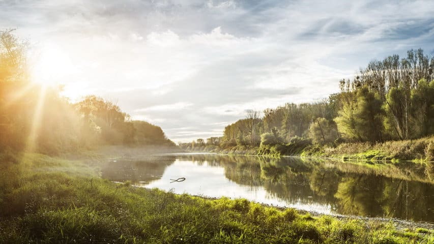 Cykling Donau Nationalpark Donau-Auen