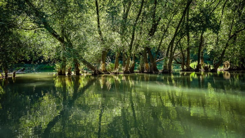 Cykla på egen hand Budapest Donau naturparken Szigetköz