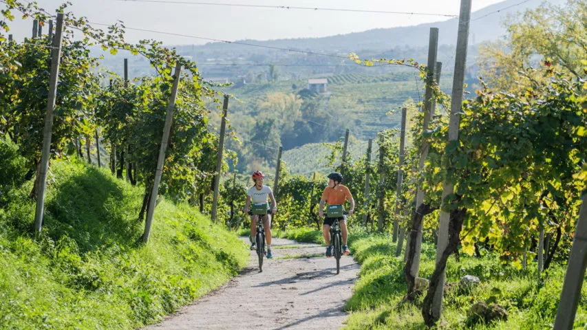 Cykla München Venedig TransAlp