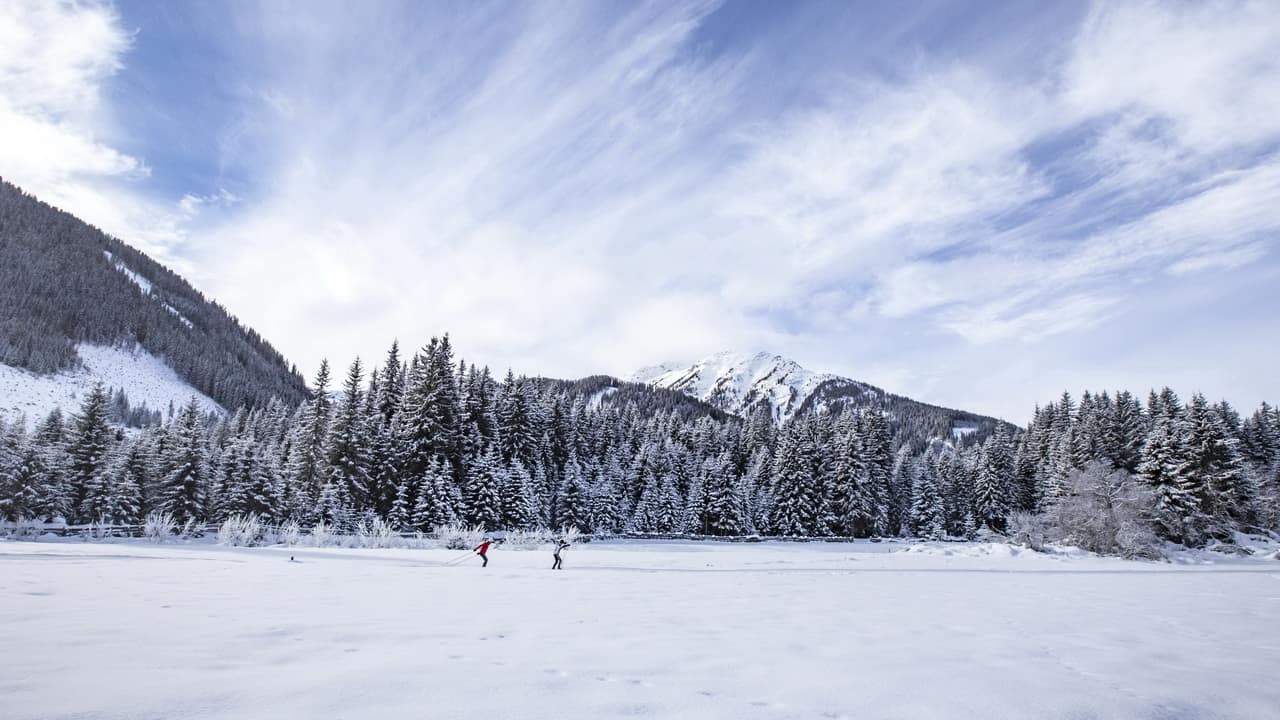 Längdskidåkning Cortina-Lienz