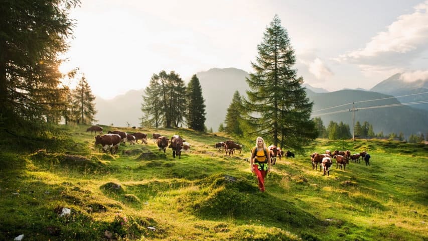 Fäbodvall Zauchensee Austria Travel