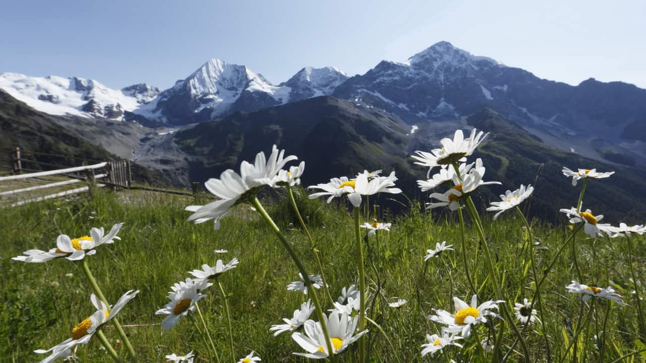 Vandra Ortler nationalpark Stilfserjoch Stelvio