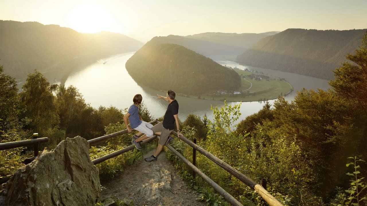 Utsikt Schlögener Schlinge cykling Donau