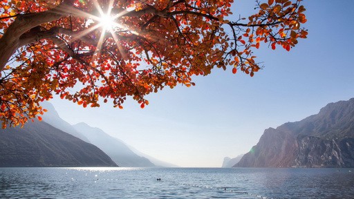 Vandring merano utsikt Gardasjön
