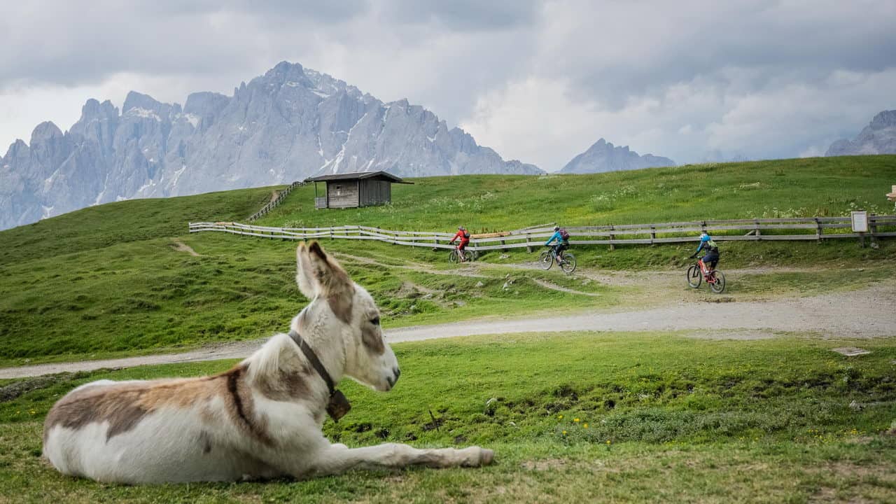 Åsna MTB cyklister Dolomiterna