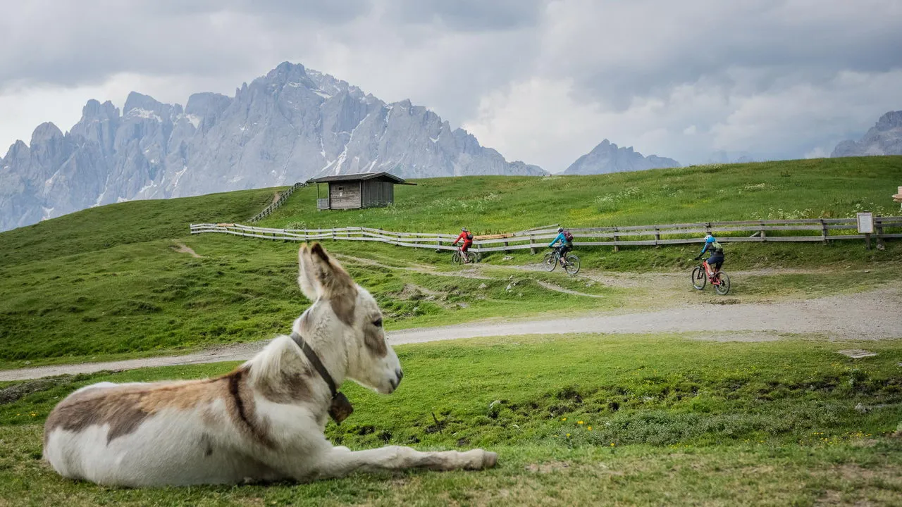 Åsna MTB cyklister Dolomiterna