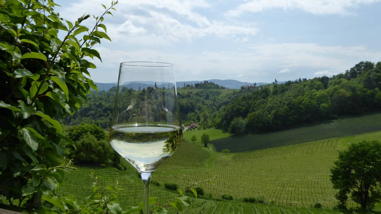 Utsikt över härliga vingårdar © Austria Travel - Rusner