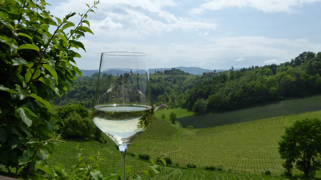 Utsikt över härliga vingårdar © Austria Travel - Rusner