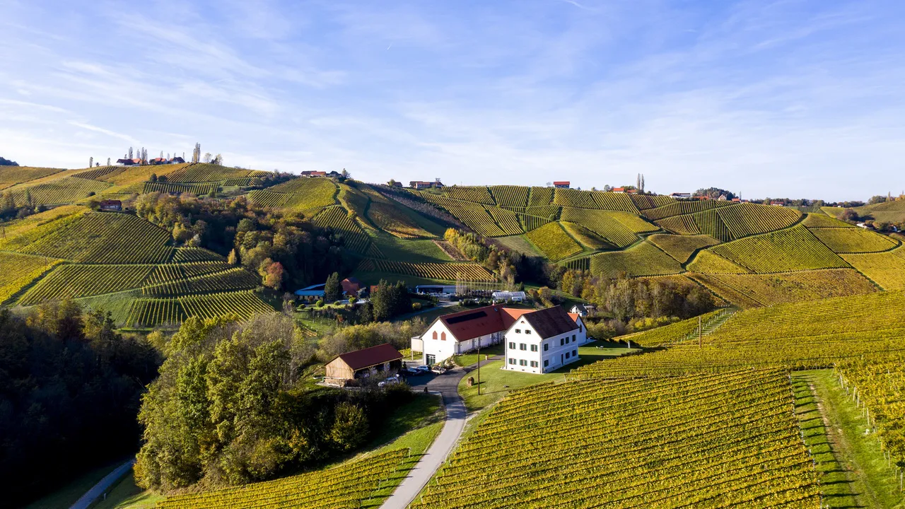Cykling vinparadis Sernauberg Südsteirische Weinstrasse