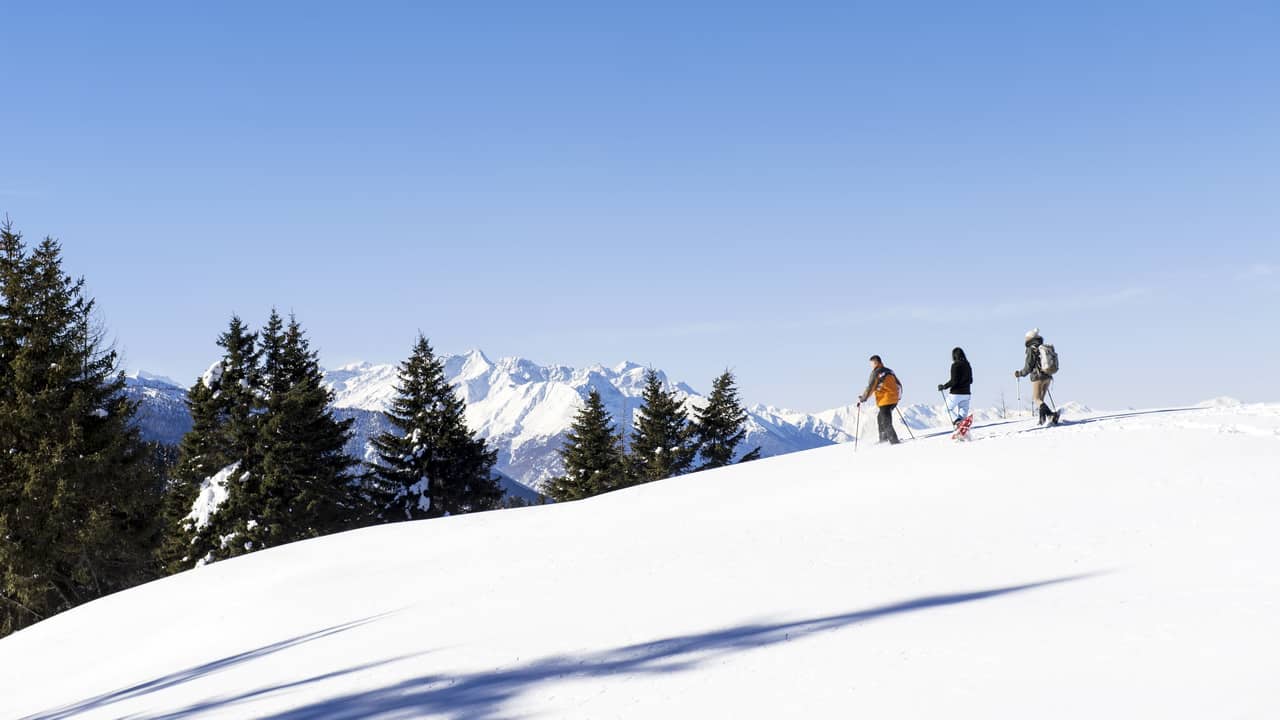 Snöskovandrare Ortler Sulden skidsemester