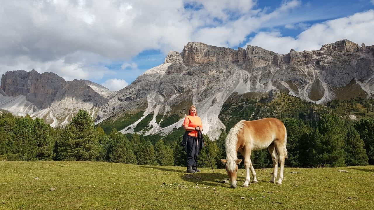 Haflingerföl i Val Gardena