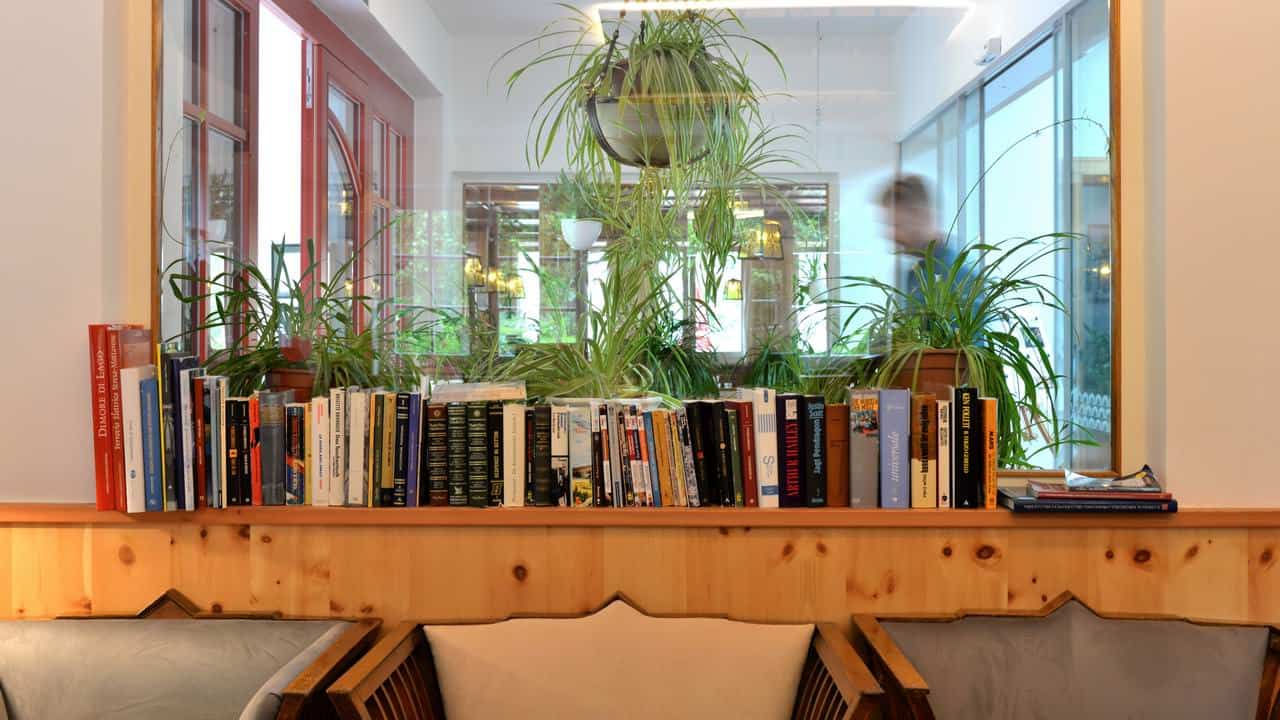 Parkhotel Sole Paradiso - Bar