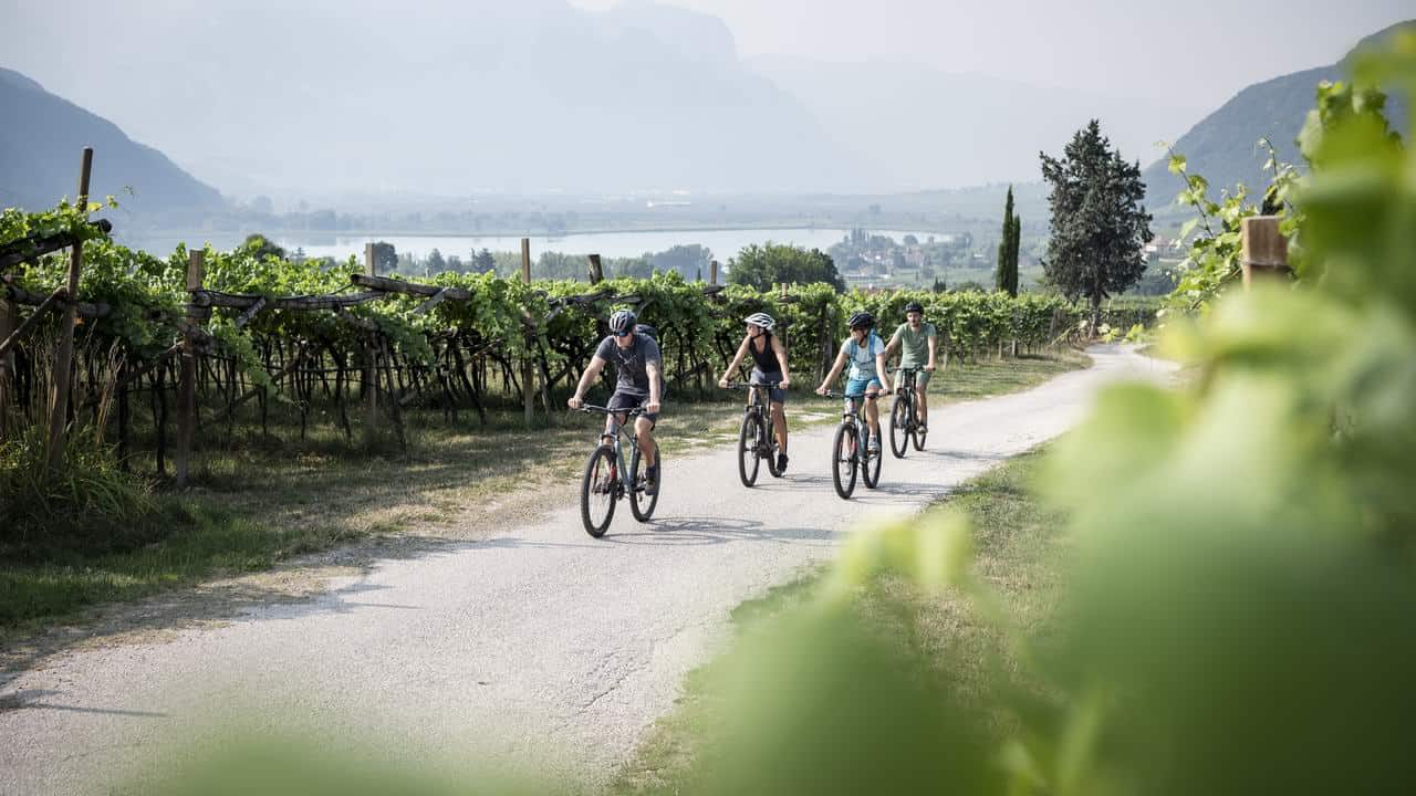 Cykling på cykelleden vid Bozen/Bolzano Dolomiterna
